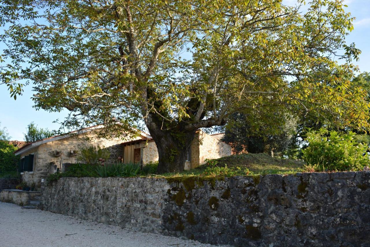 Casa Da Pedra Villa Ancião Exteriör bild